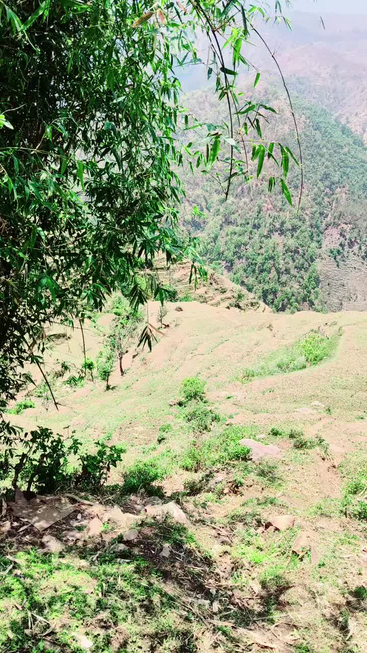 @pramodbaduwal