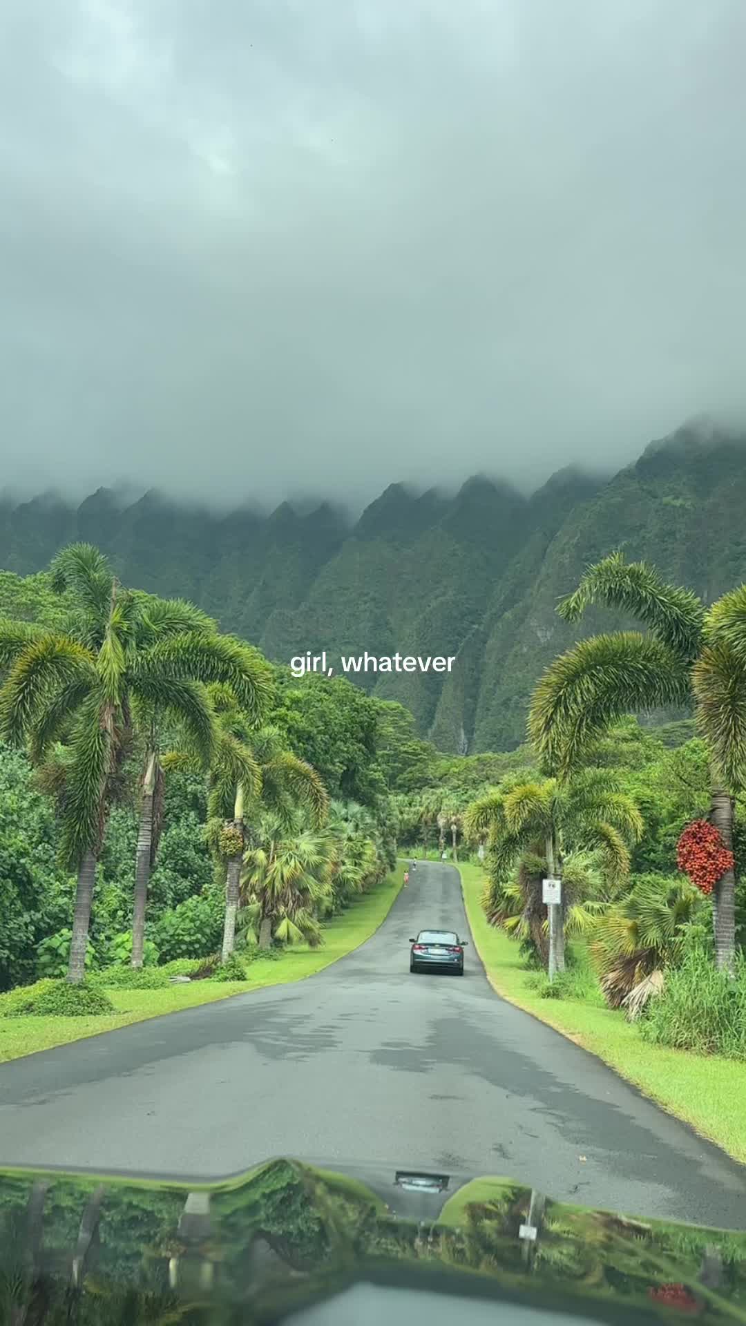 @Googoos