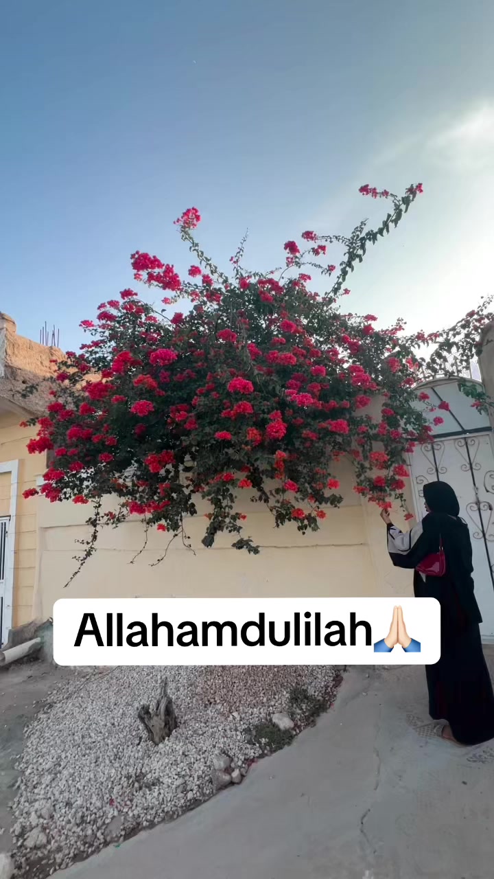 @روحي ✨