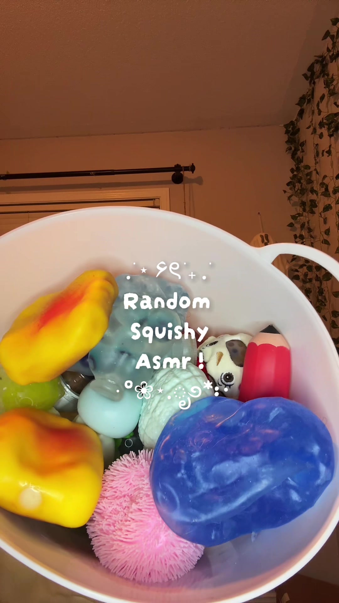 @Squishys!