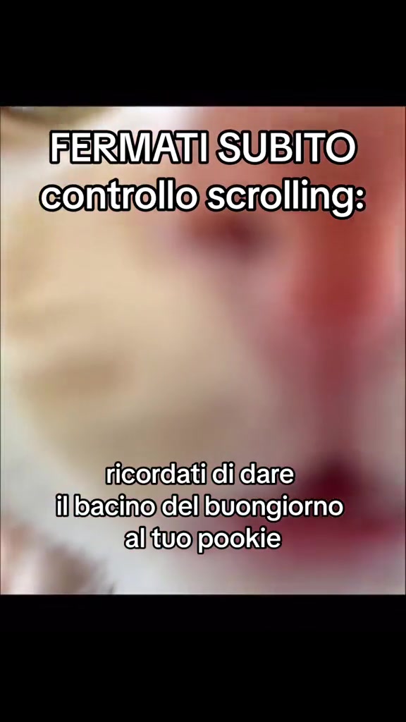 @Marco Ballarini Sindaco