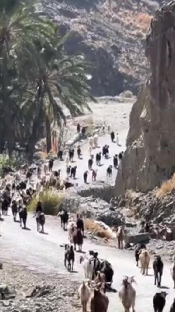 @میر بابر رند