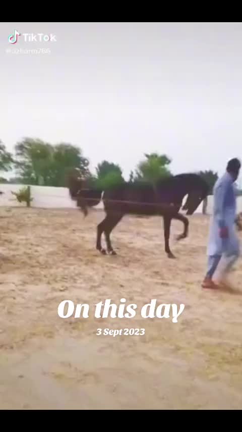 @Raja Iqbal UK