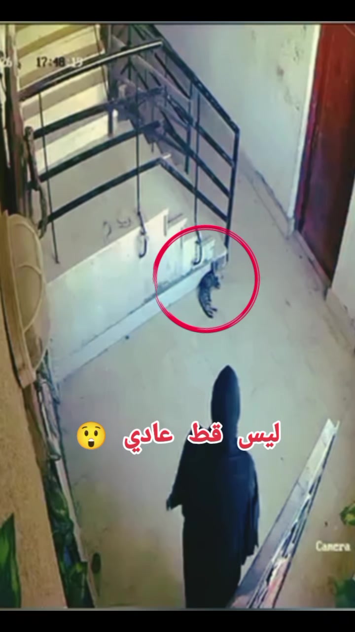 @(☝️الشيخ عبد العزيز ☝️)