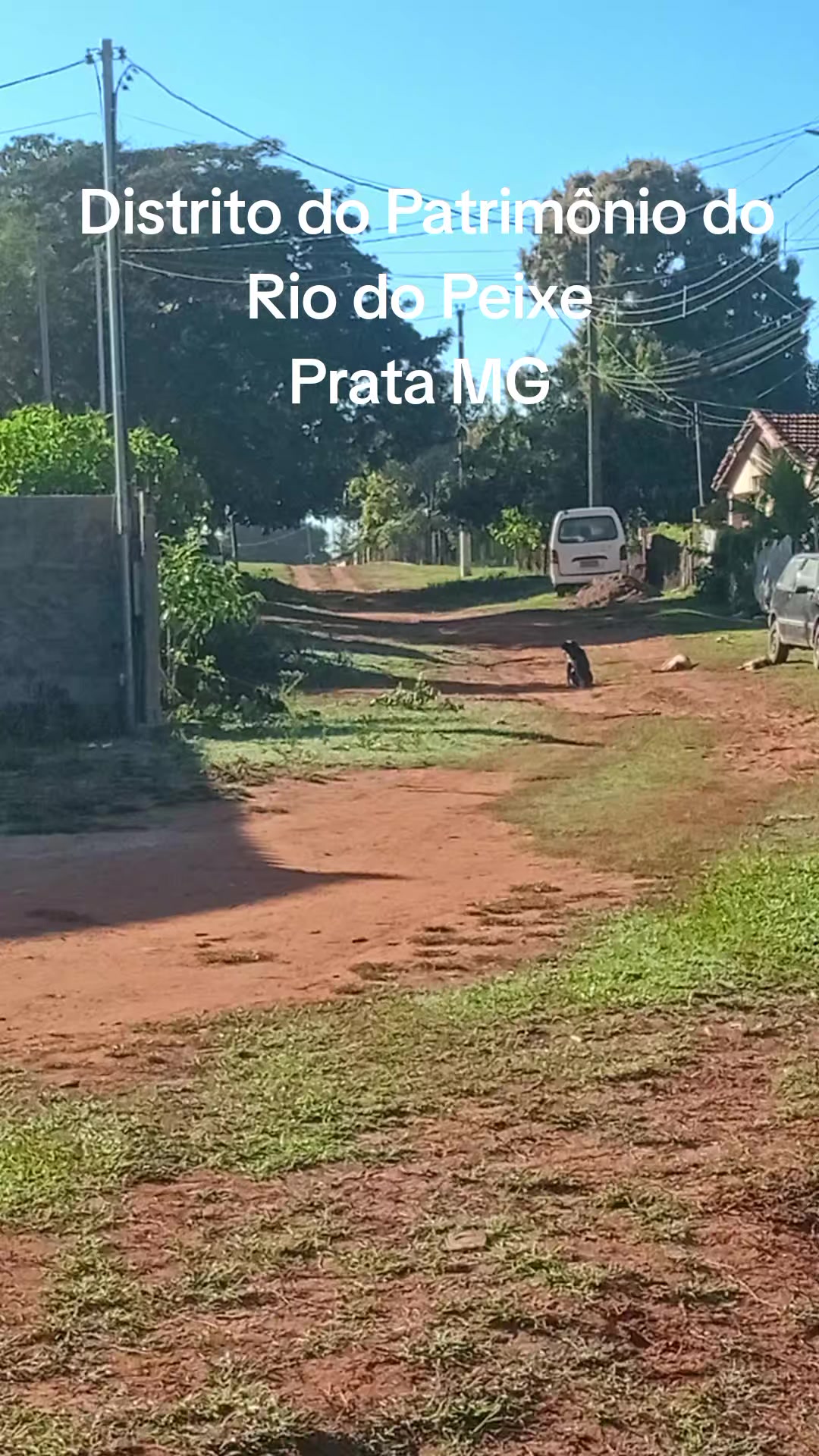 @Adriana Aparecida Si