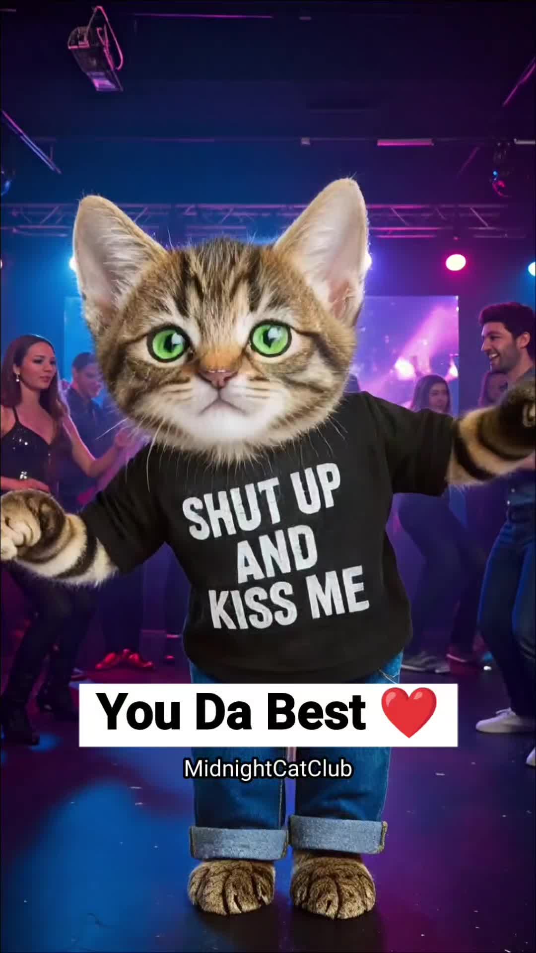 @MidnightCatClub