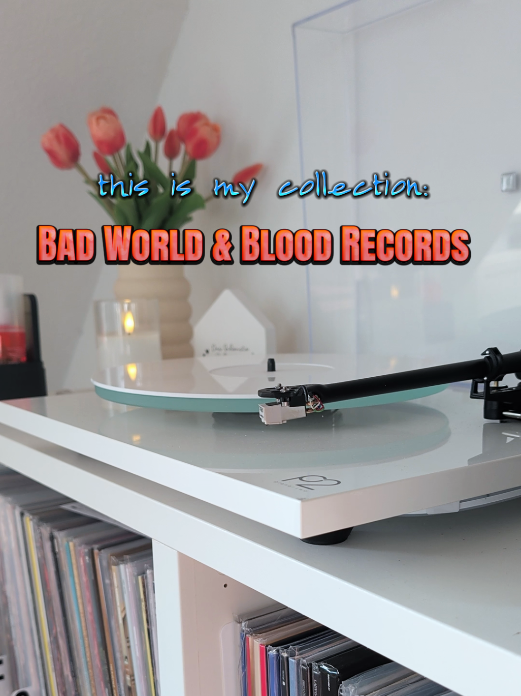@Chrissy || Vinyl Collector 🎶✨