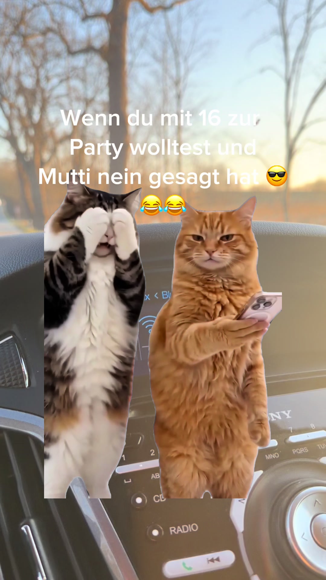 @Bea✌️mit Gang 🐕🐈🐈🐈&zwj;⬛