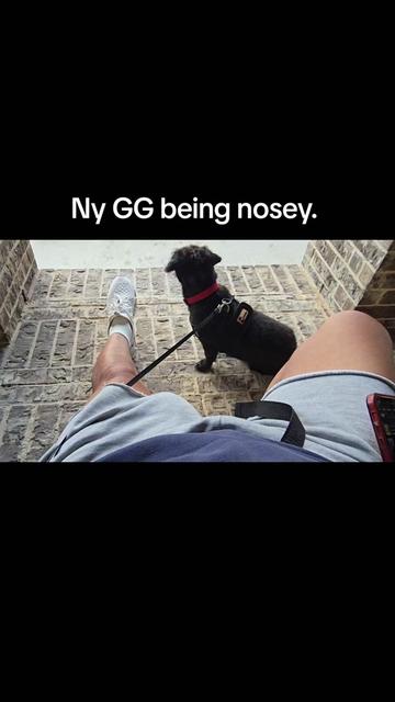 @Greyson Chamberlain