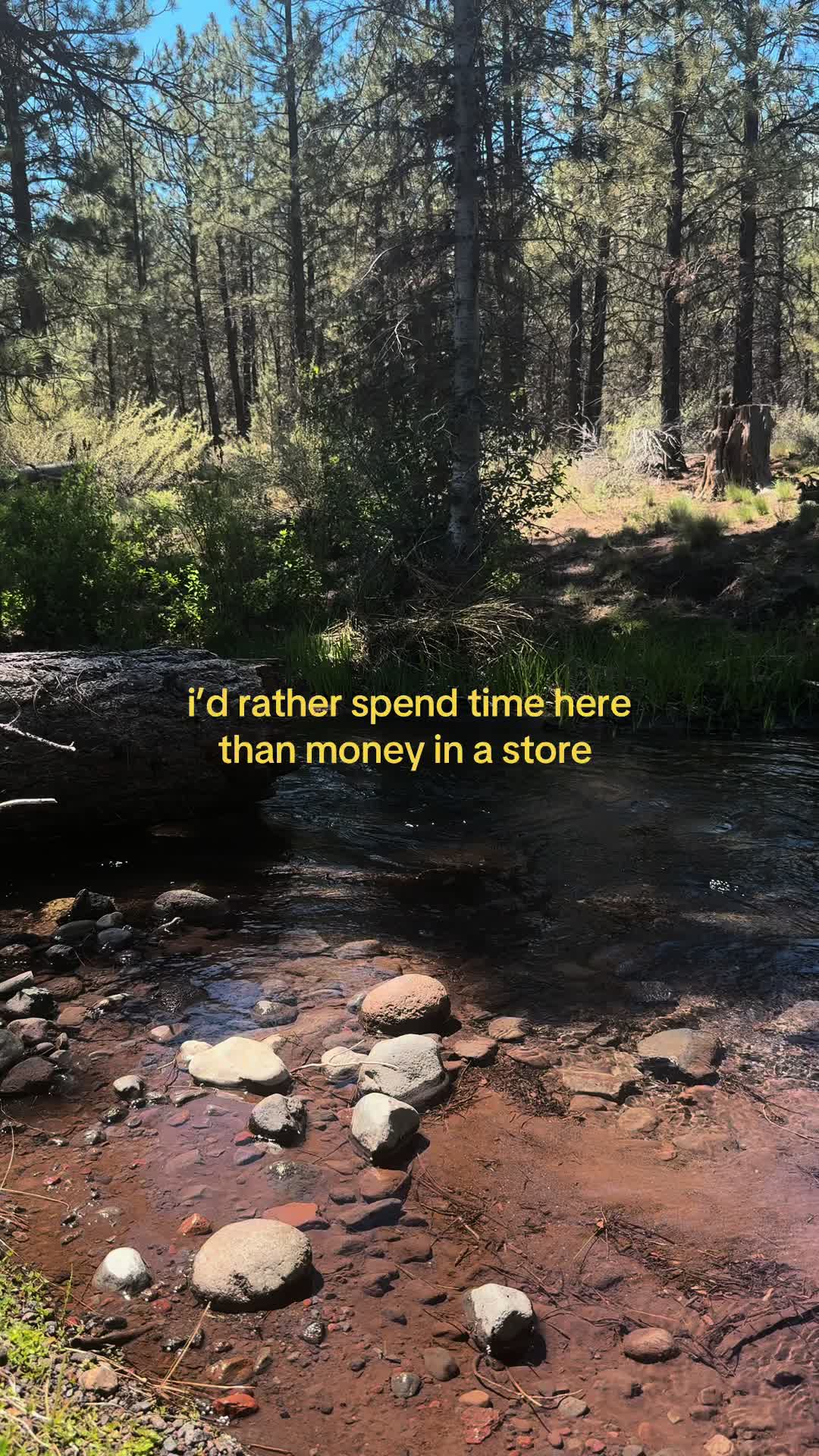 @audg🍄🐛🦋