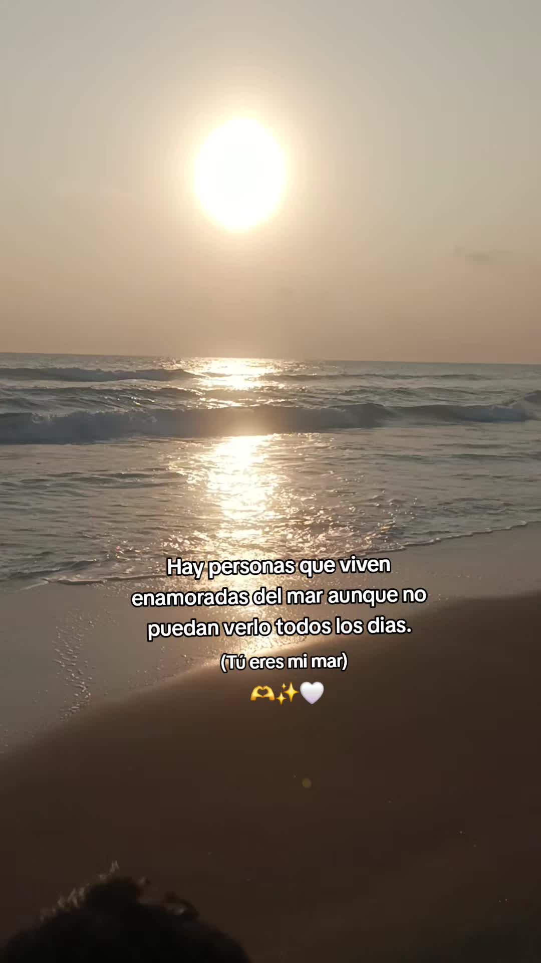 @🌸 𝐾aLixTaa🌻