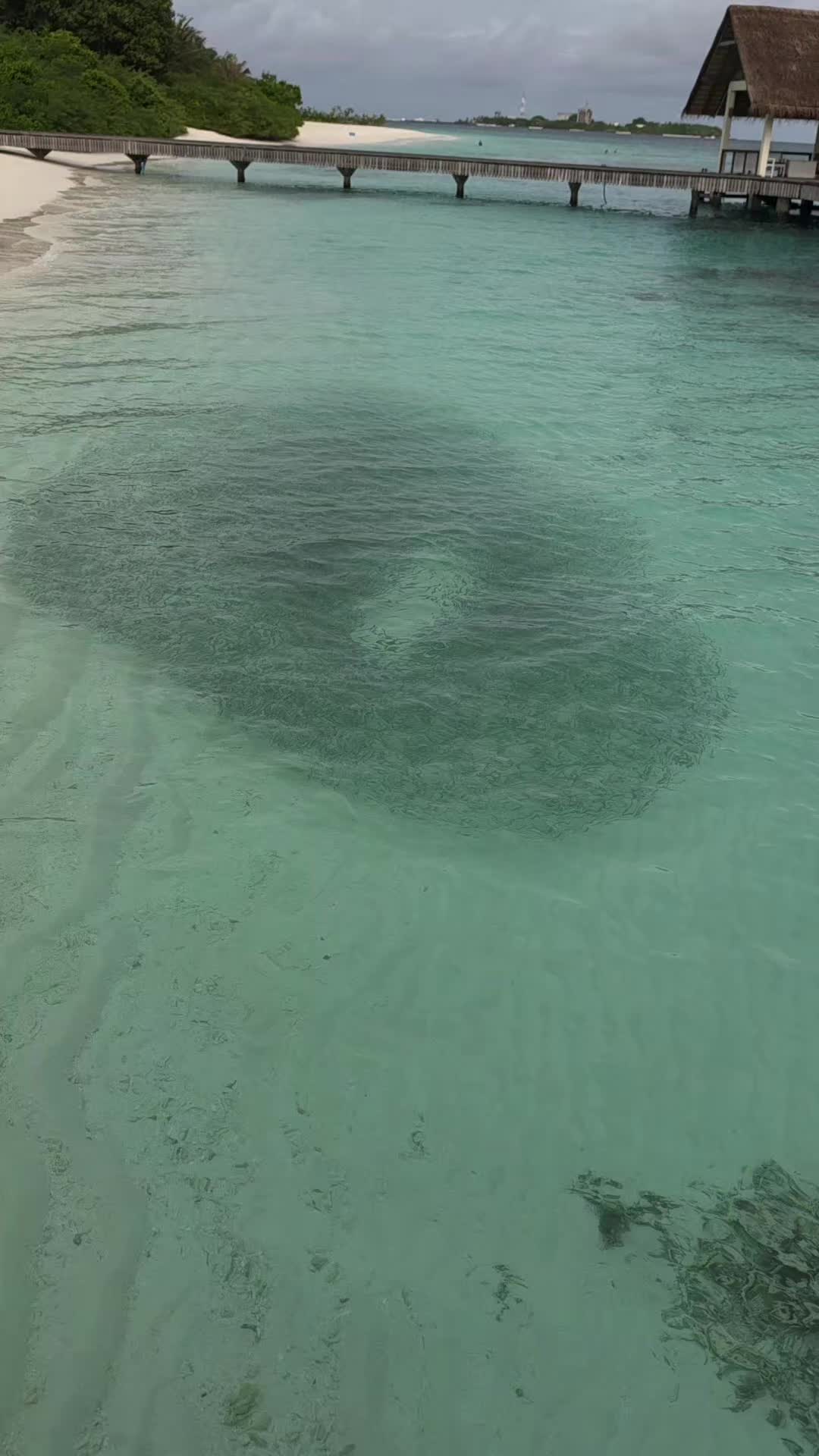 @Mrluxurytravel