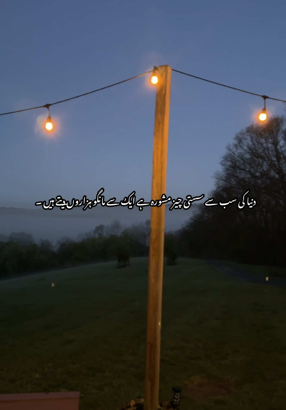 @Ch Wajid Ahmed 🇺🇸 🇺🇸