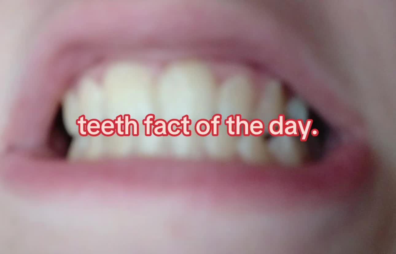 @I leik teeth moer thna mysefl.