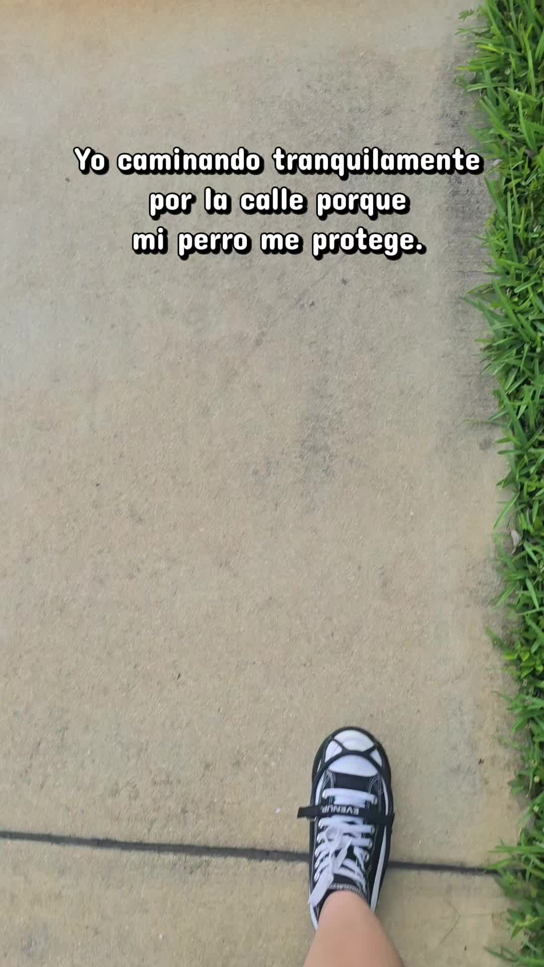 @Adri Aros 🧚♀️🪷🦝