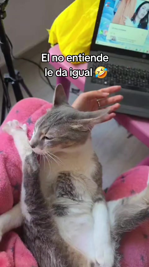 @F4MILY TIM3