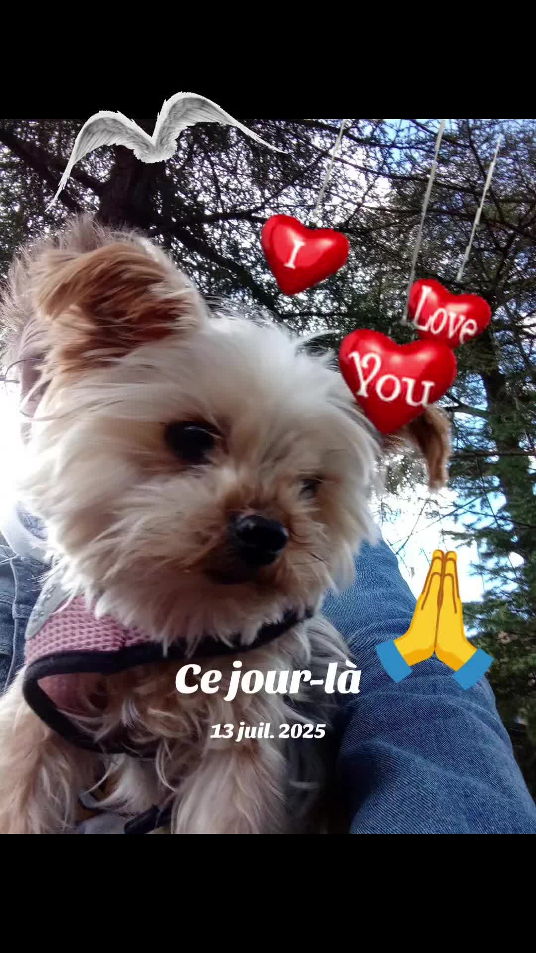 @💜Domi💜
