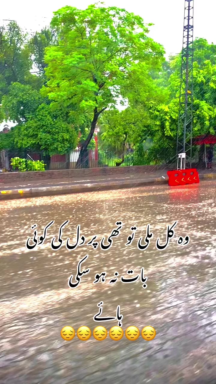@foji sajjad