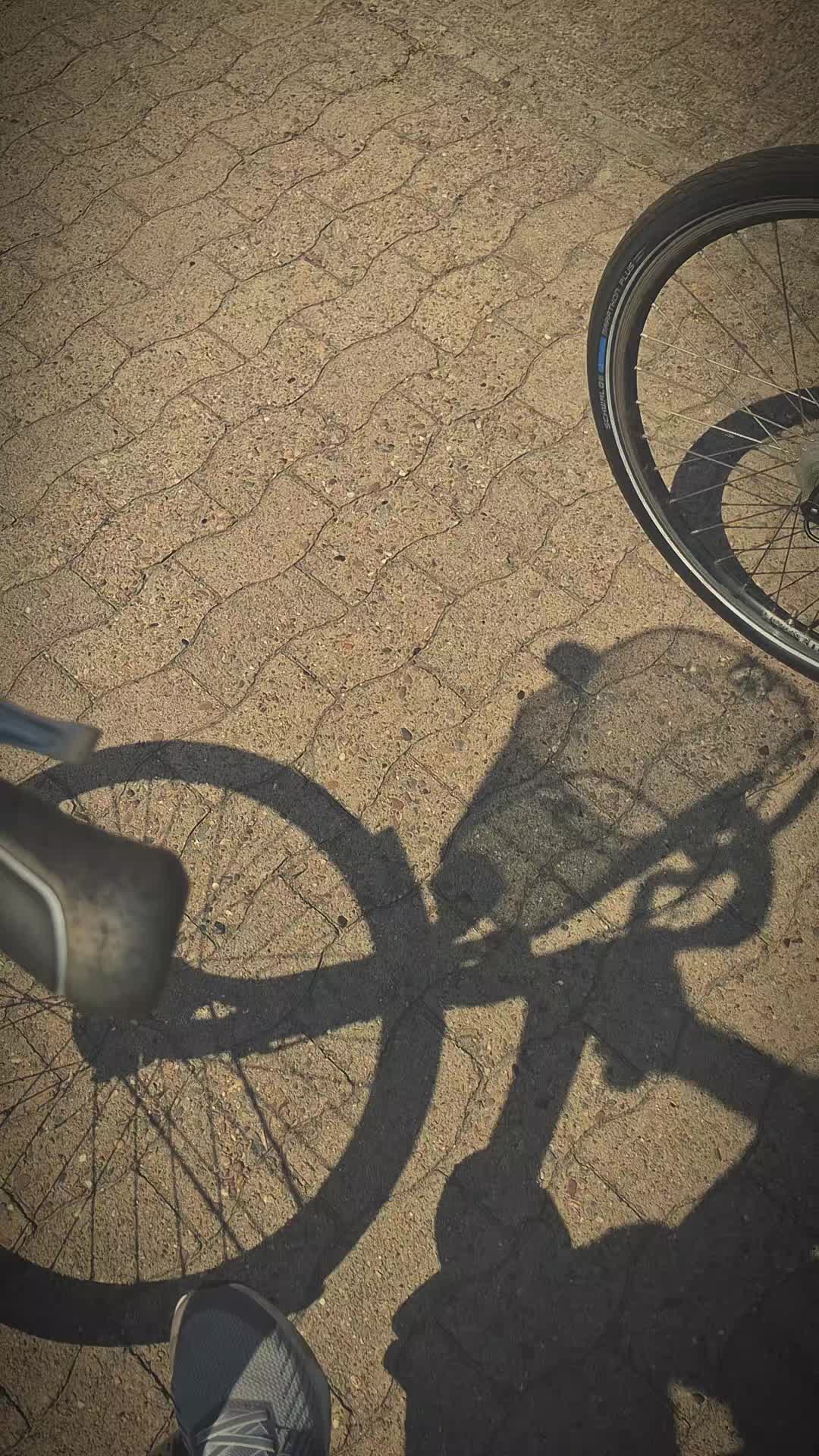 @ηєѕѕι×🦋
