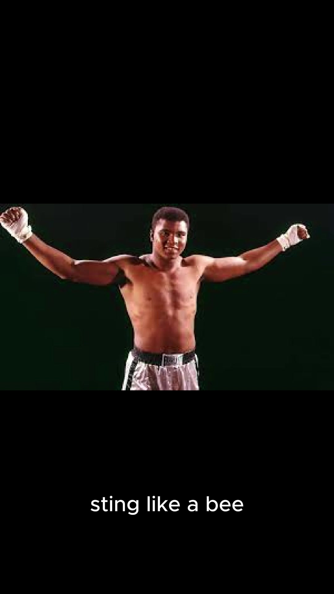 @muhammad.ali.best.flicks