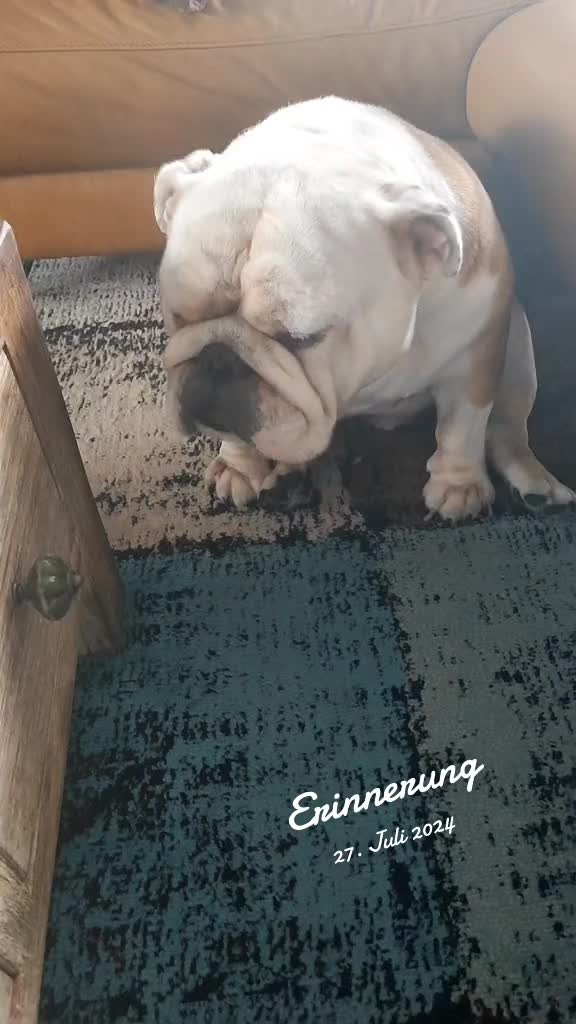 @cori.friedy.toni