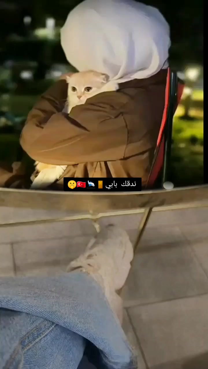 @🫀👑ٱدلبـ᭓ـية آڪـ᭓ـابࢪ 👑🫀
