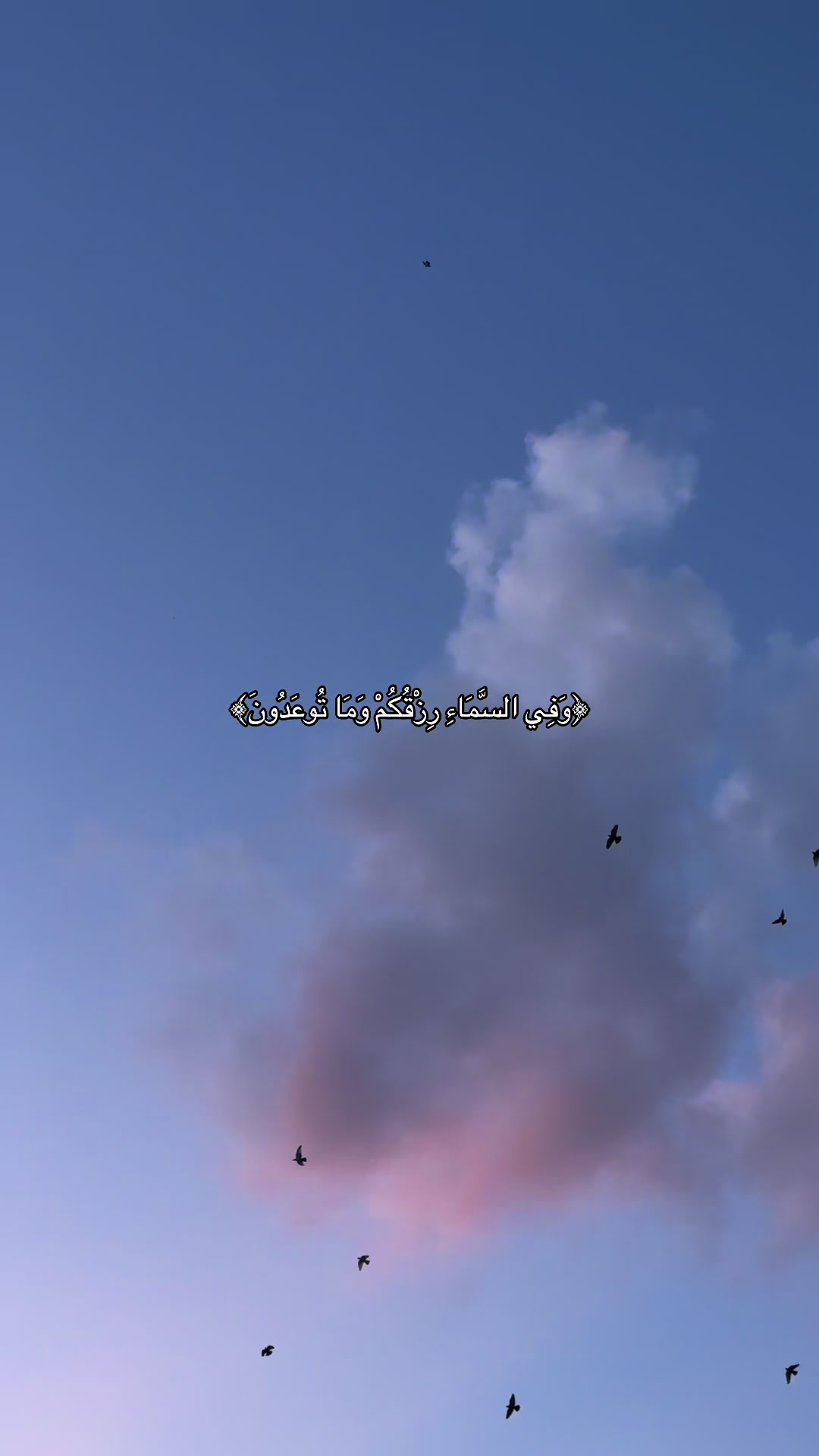 @هـاجــر🦋