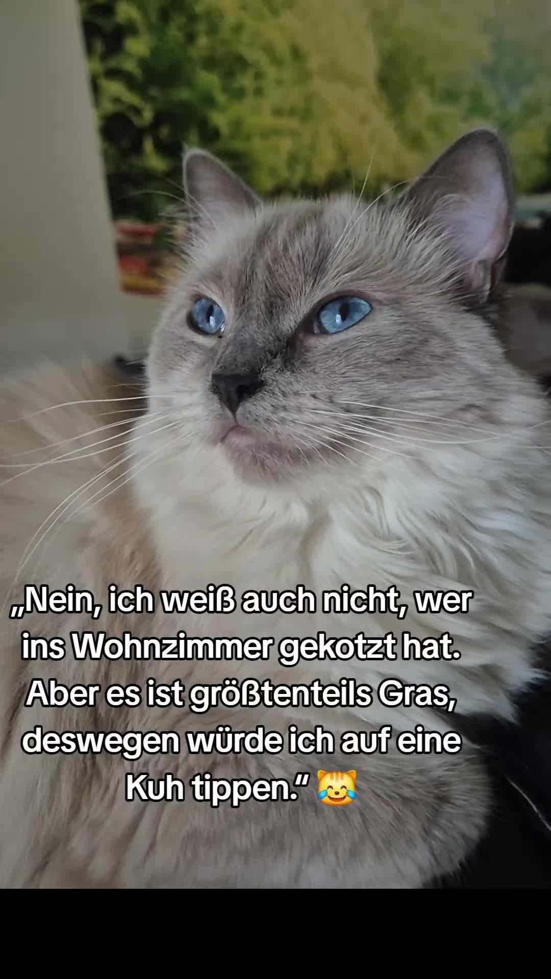 @Mel