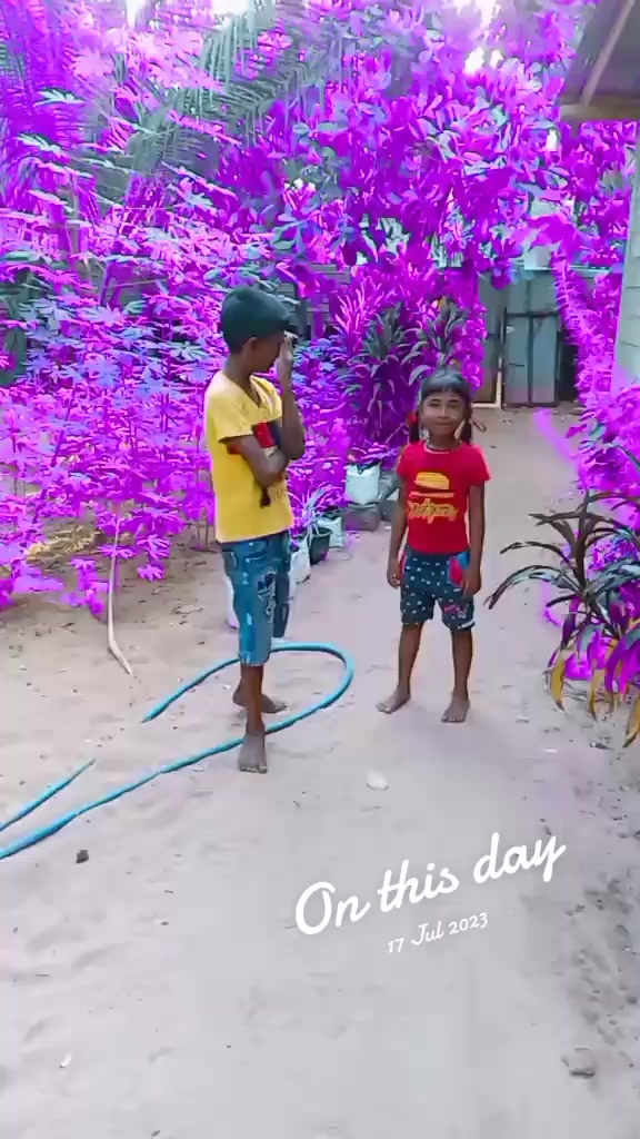@diludilu4174