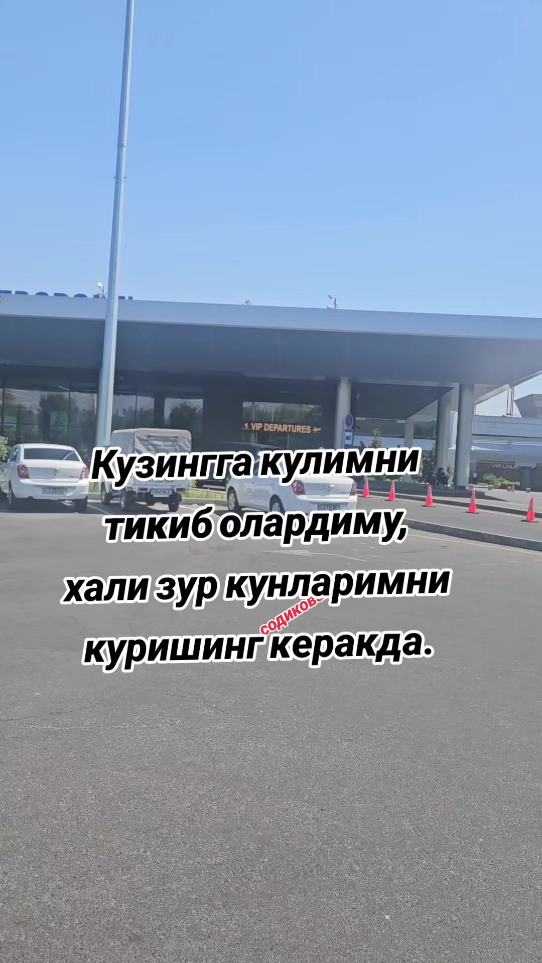 @mts999