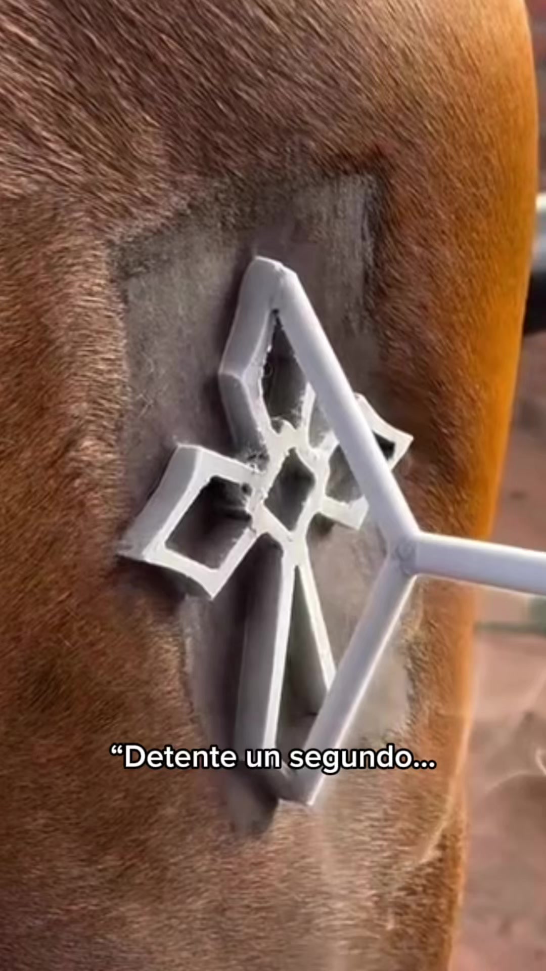 @💈🐴Huelgam_ty