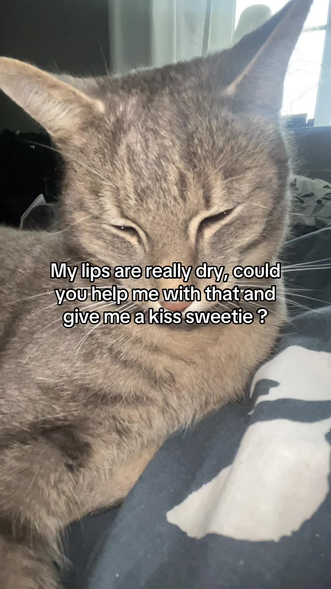 @Micky