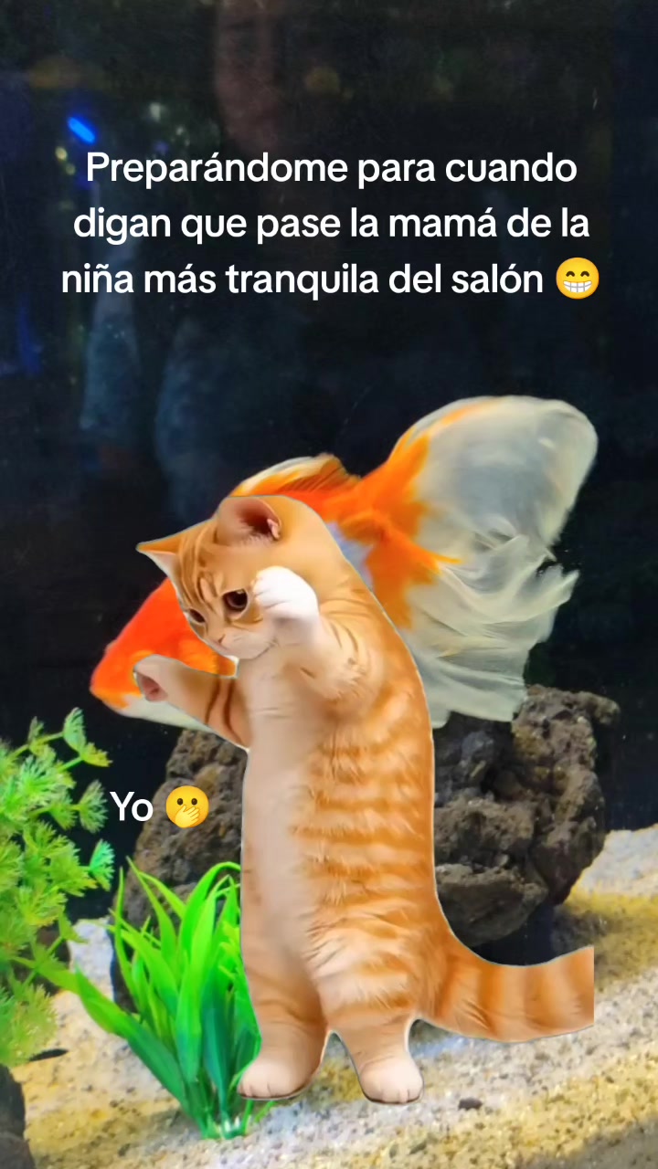 @Remka