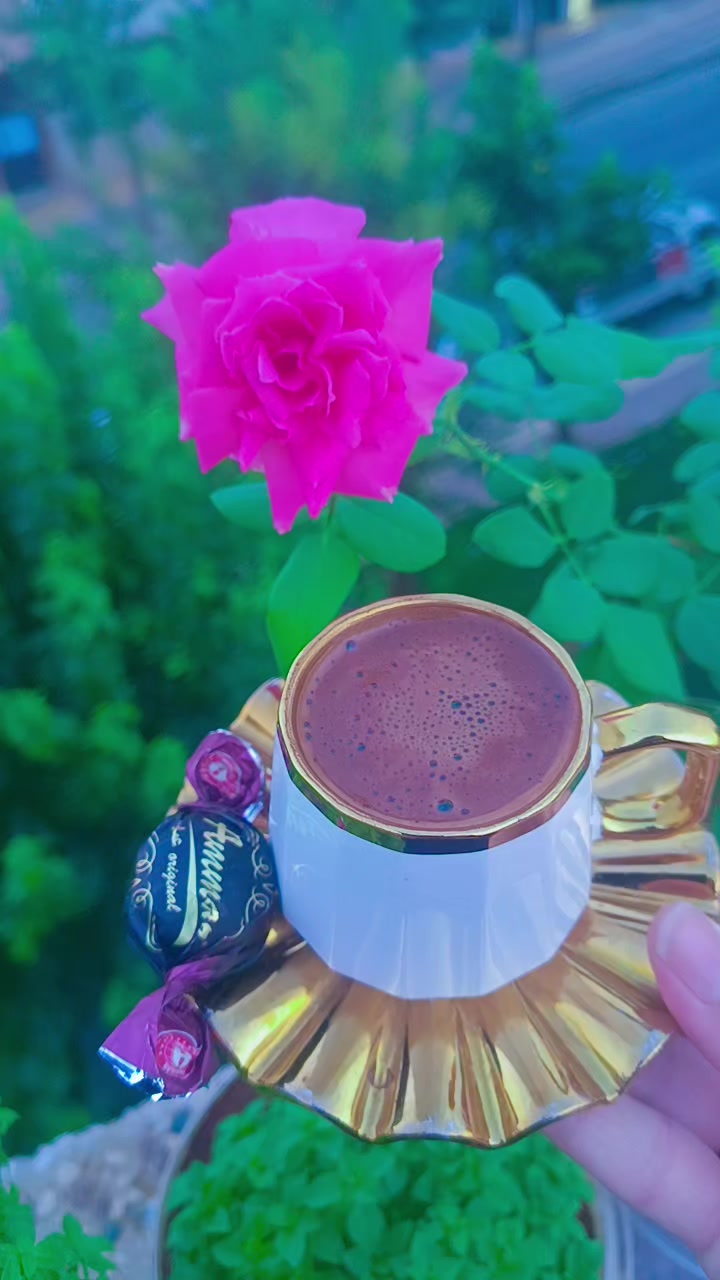 @☺️🌷زهرة حلب 🌷☺️
