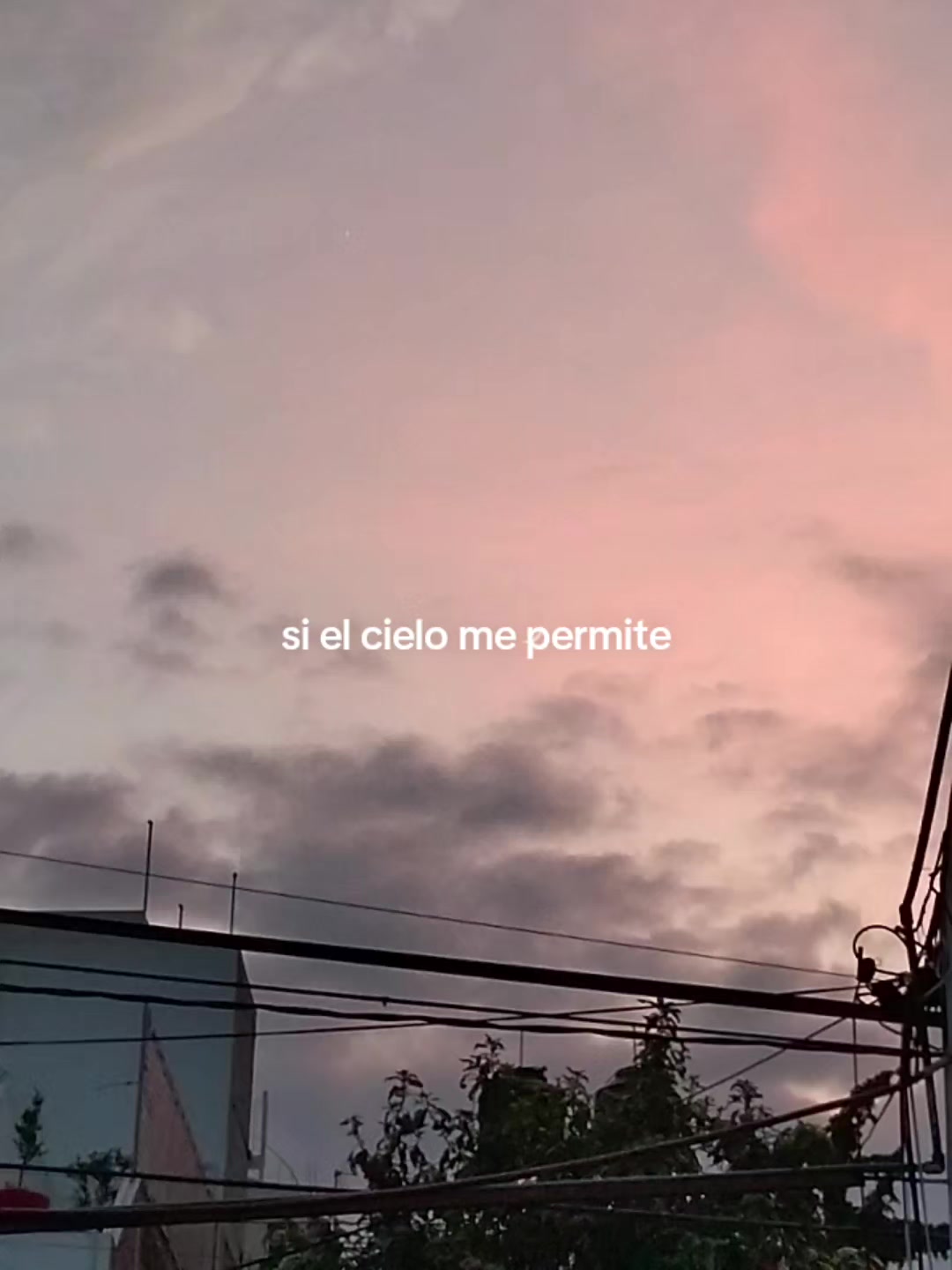 @K a r l a🩷