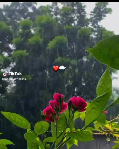 @Nosirwawawan Malik