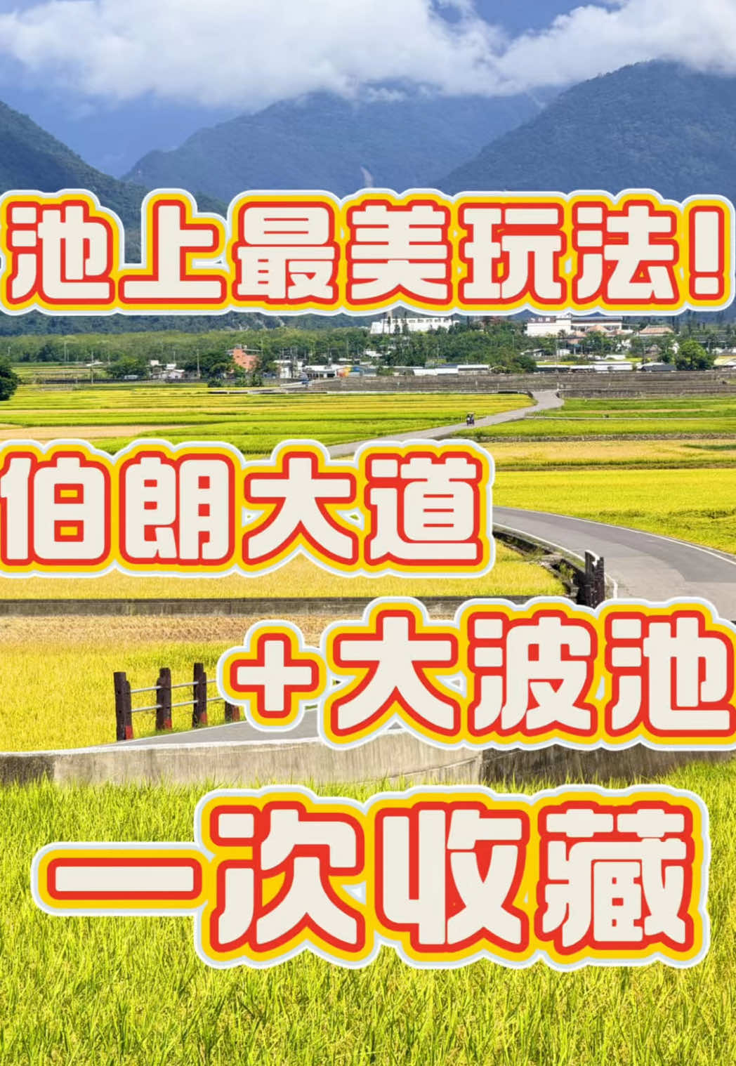 @美娴（華鼎自行車出租店）
