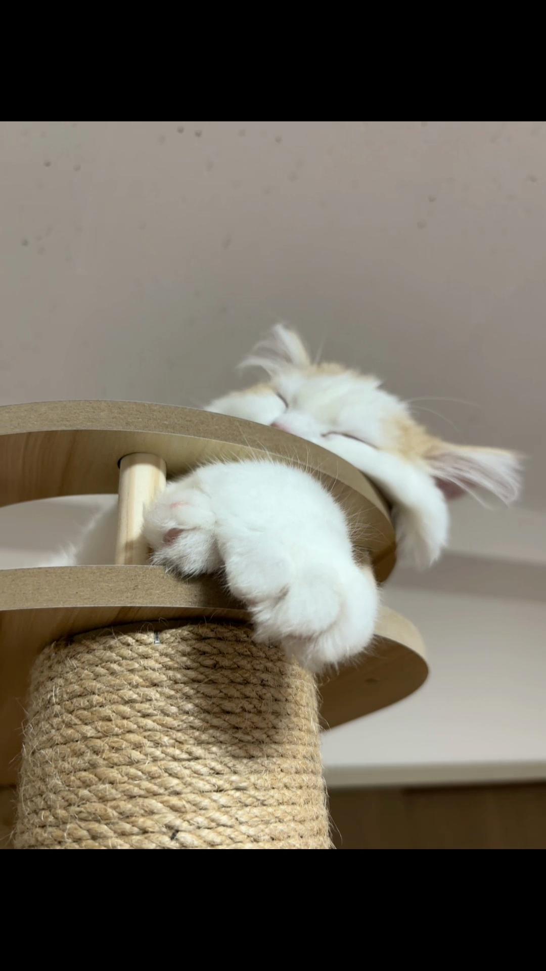 @Kiki