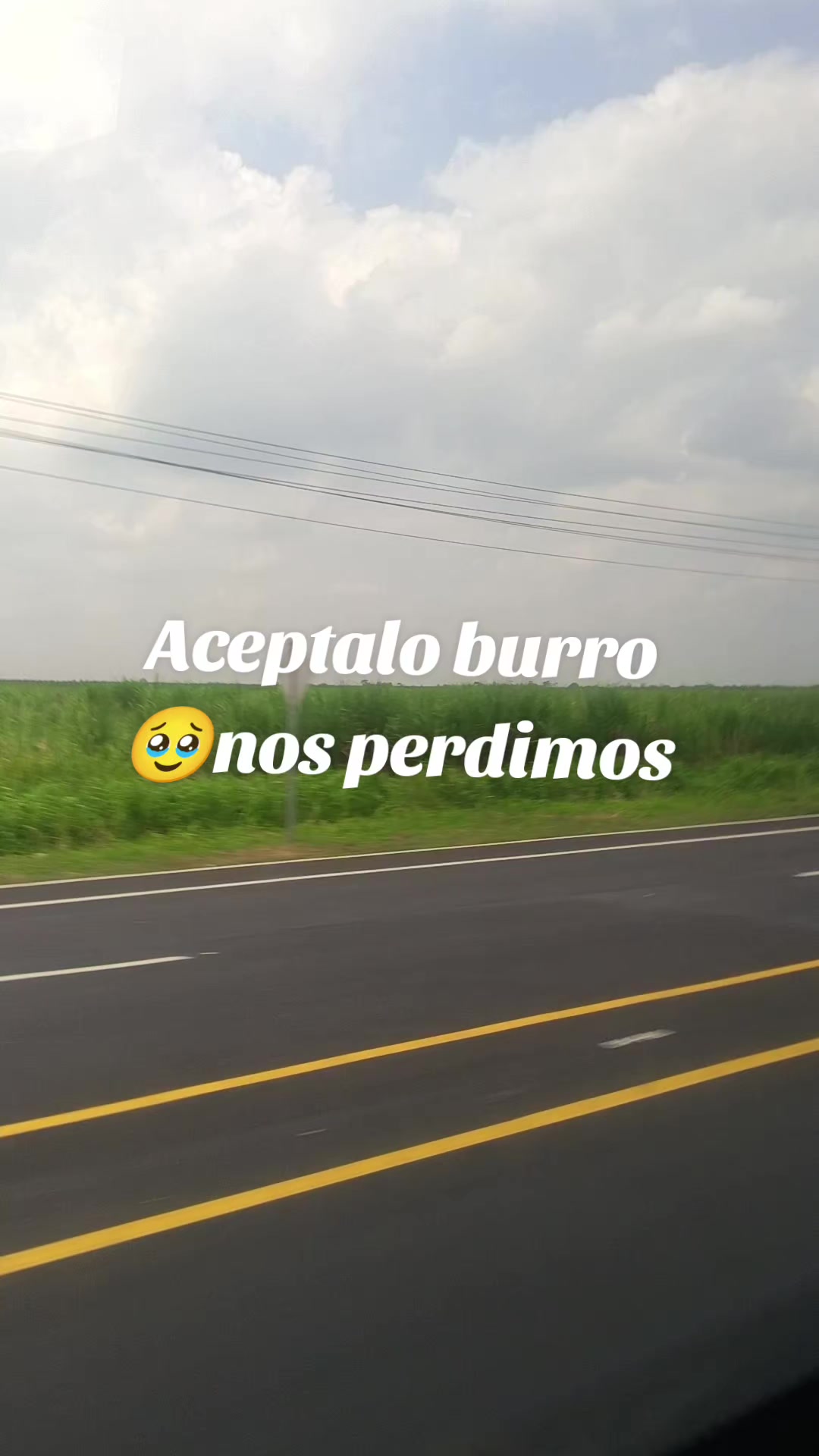 @💫Andromeda🌻🌻🌻
