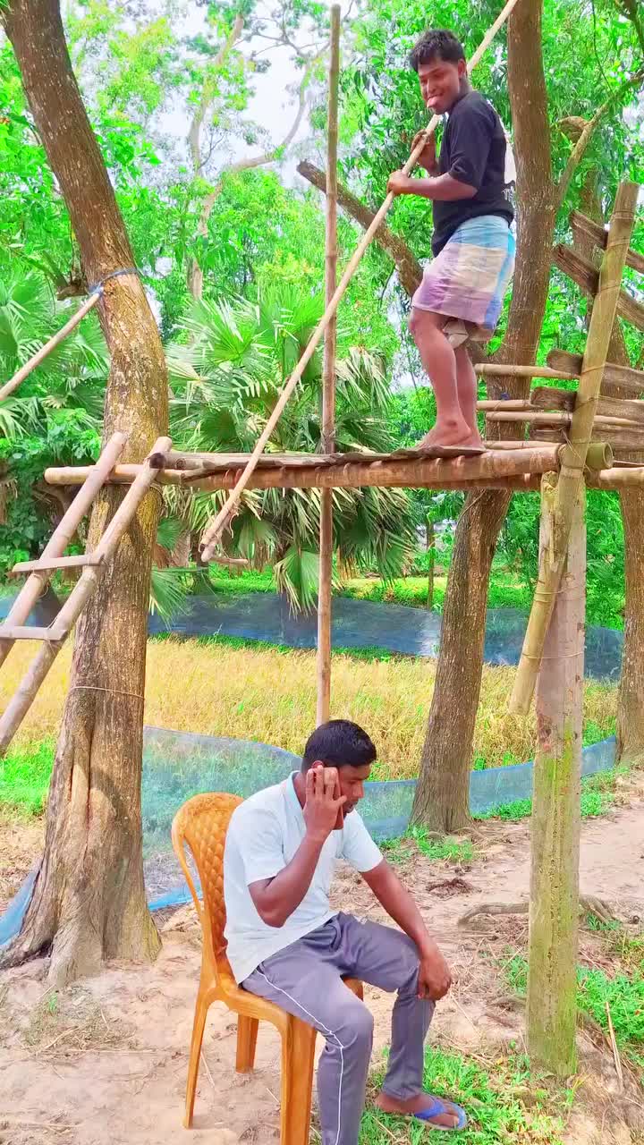 @tetroi02