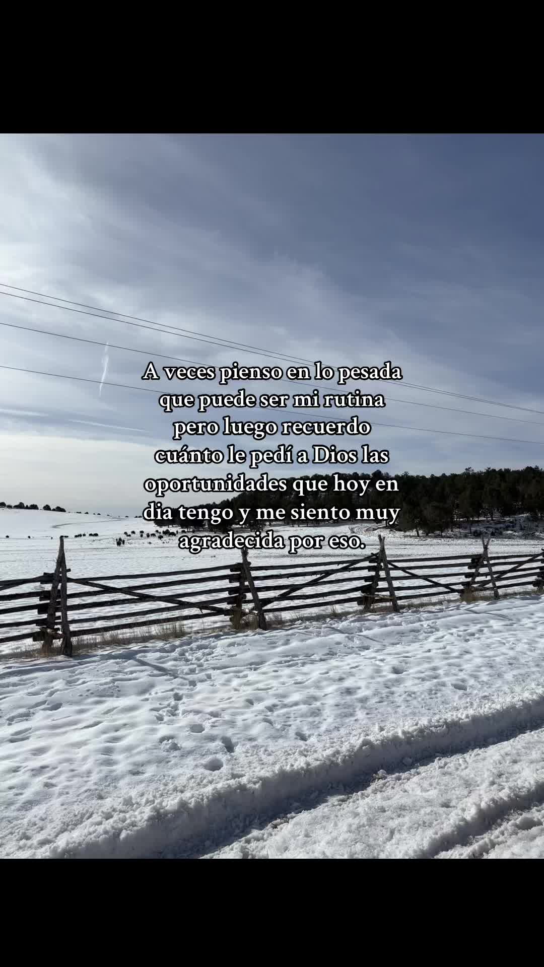 @ctlcflores_p00