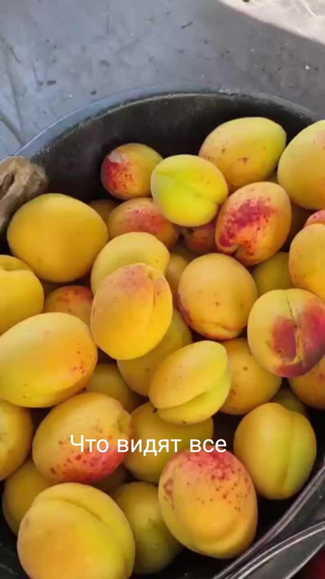 @Вадим Вадимович