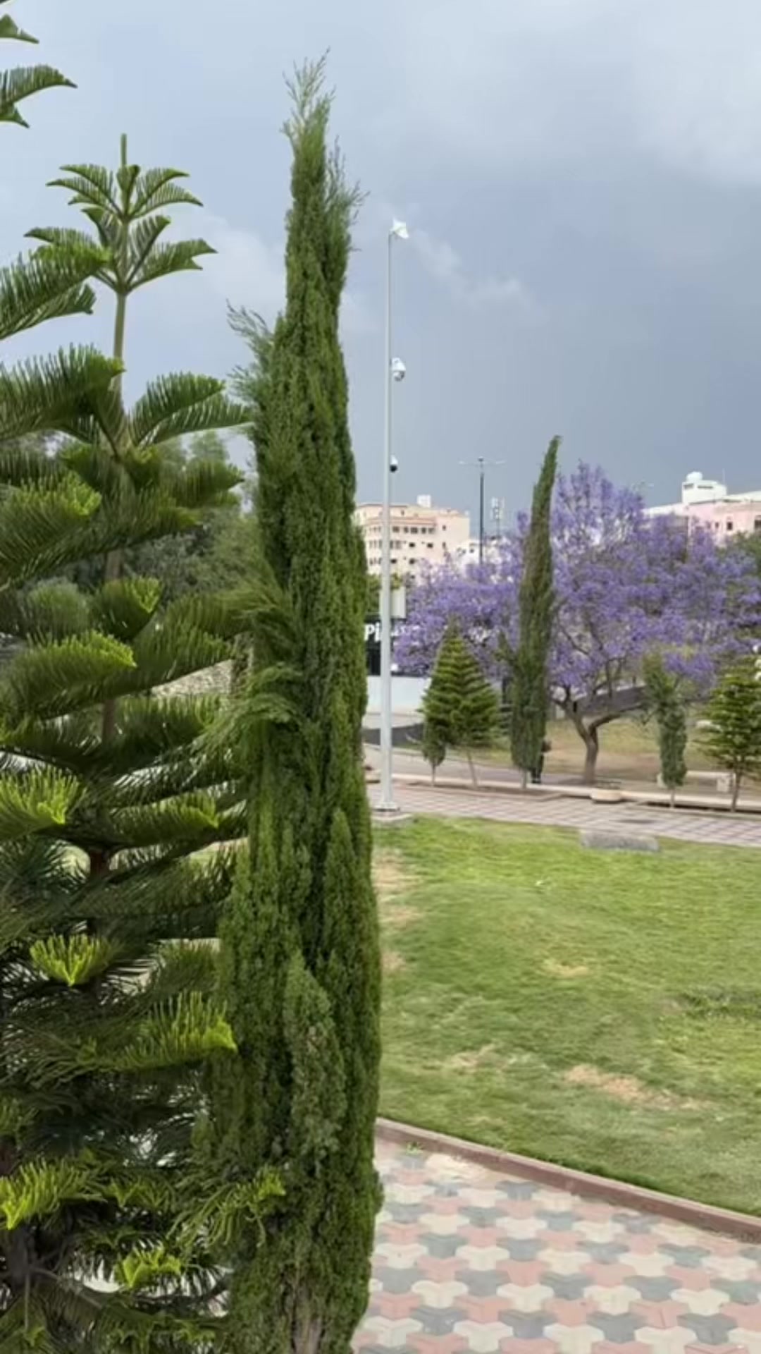 @نوره 📸🌱