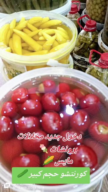 @🌿MOUSSA🫒Olive🥒Biskra🌴