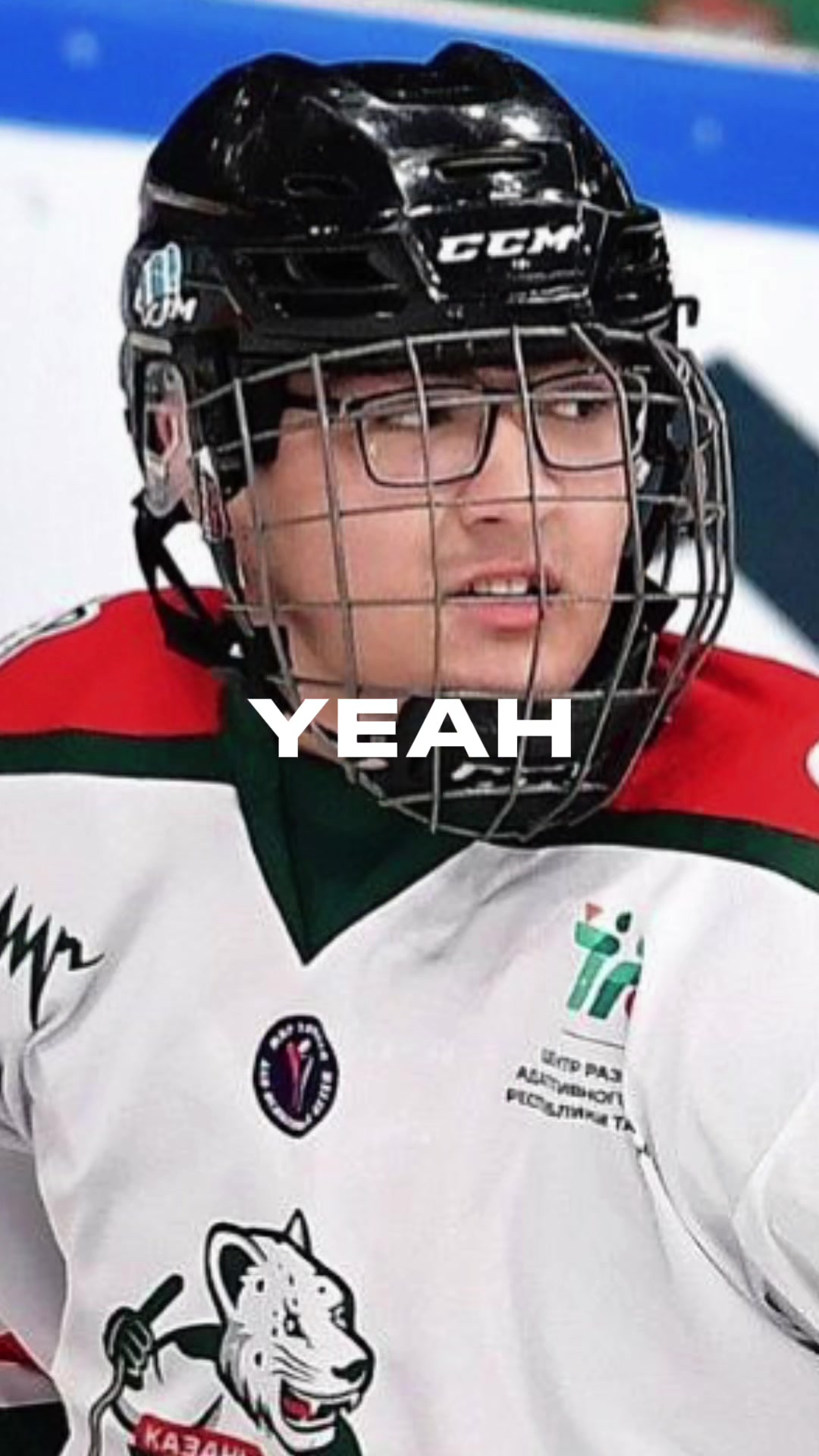 @hockey_sledge