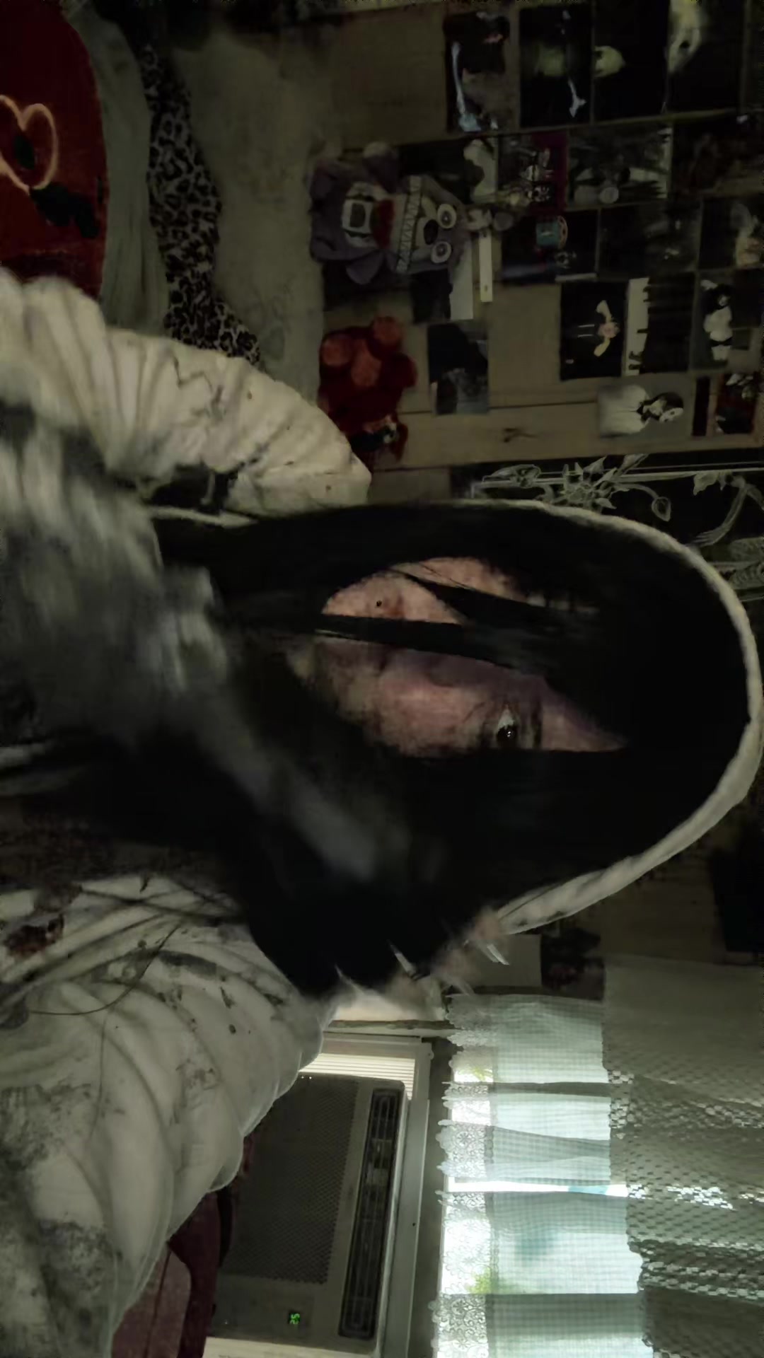 @Nic⦻le ‧₊˚🦇
