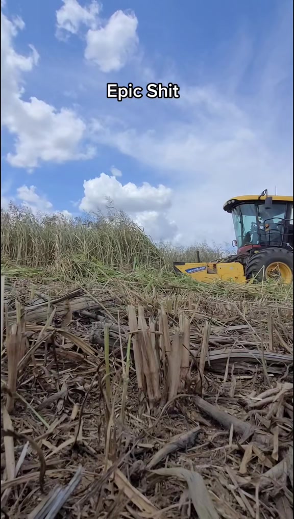 @Farming Texas