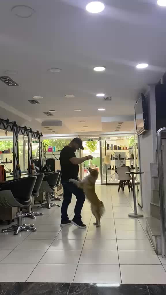 @ŞAMPiYON  DOGAN.46.59