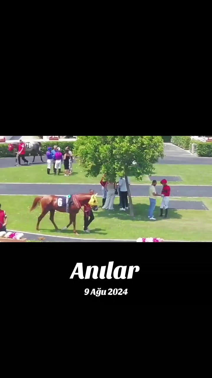 @brs horse racing