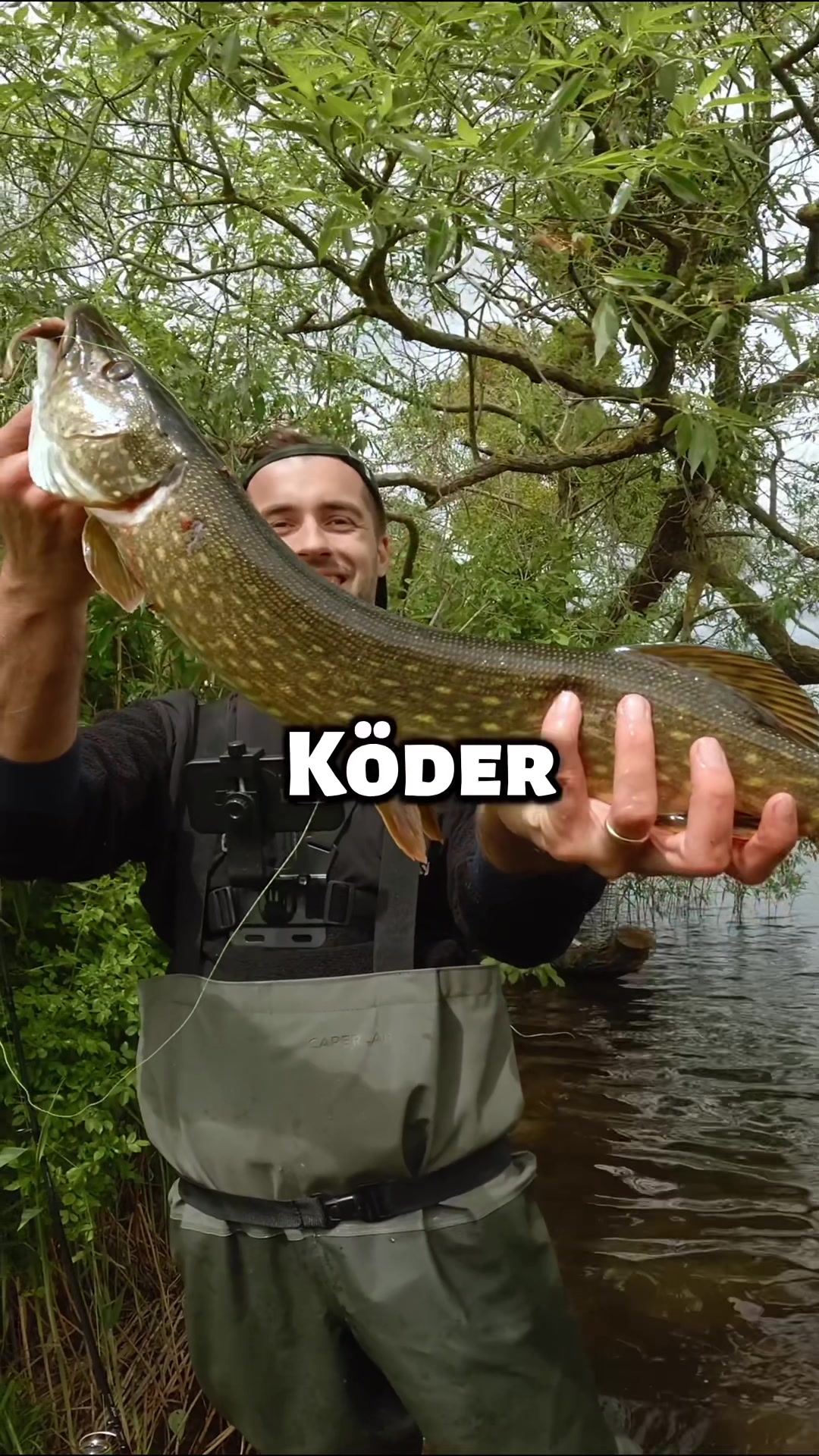 @Fischbulette